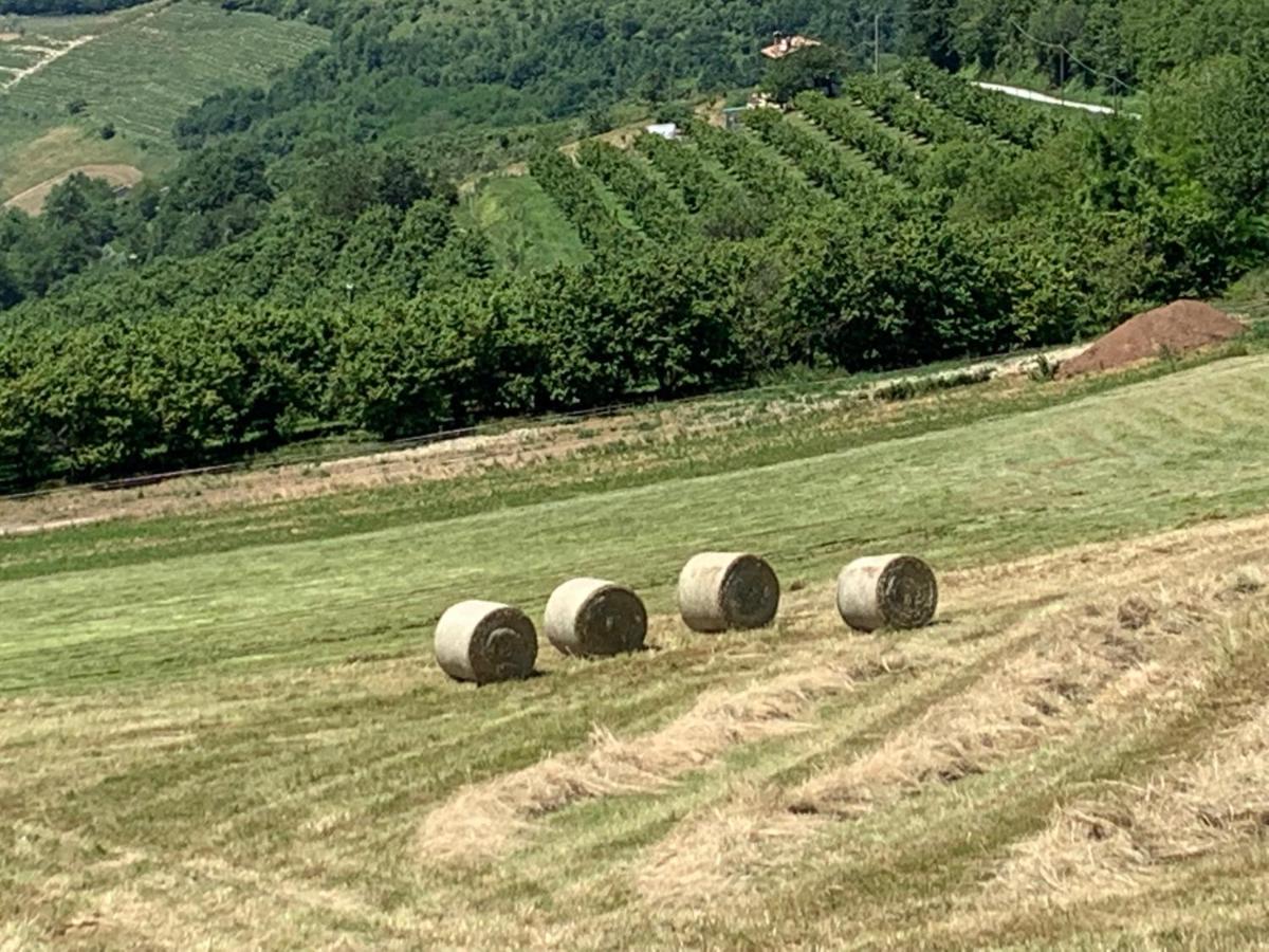 Serravalle delle Langhe La Luce Delle Colline Bed & Breakfast エクステリア 写真
