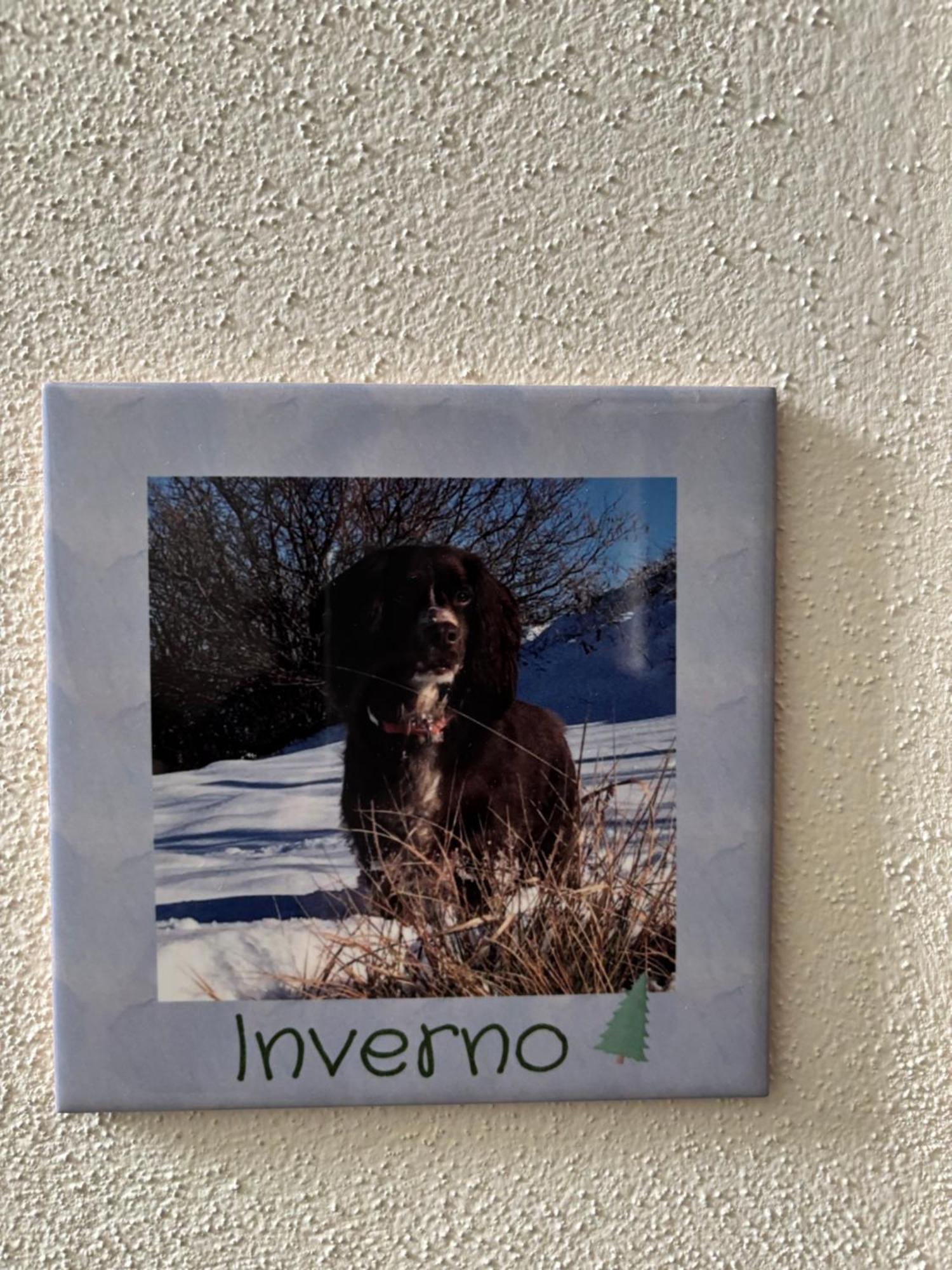 Serravalle delle Langhe La Luce Delle Colline Bed & Breakfast エクステリア 写真