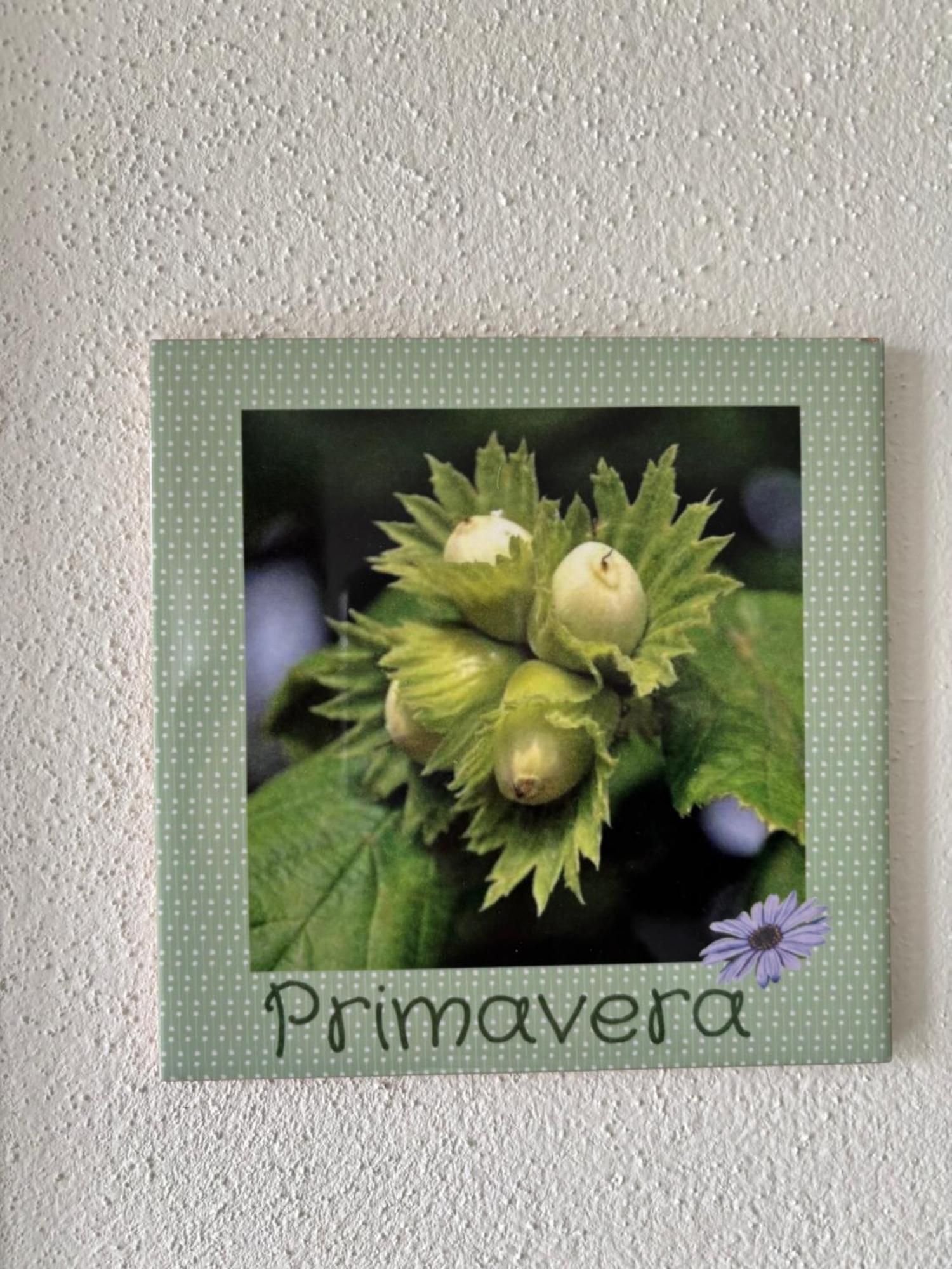 Serravalle delle Langhe La Luce Delle Colline Bed & Breakfast エクステリア 写真